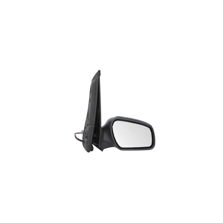 Blic 5402-03-0362362P Wing Mirror for Ford C-Max (Dm2)