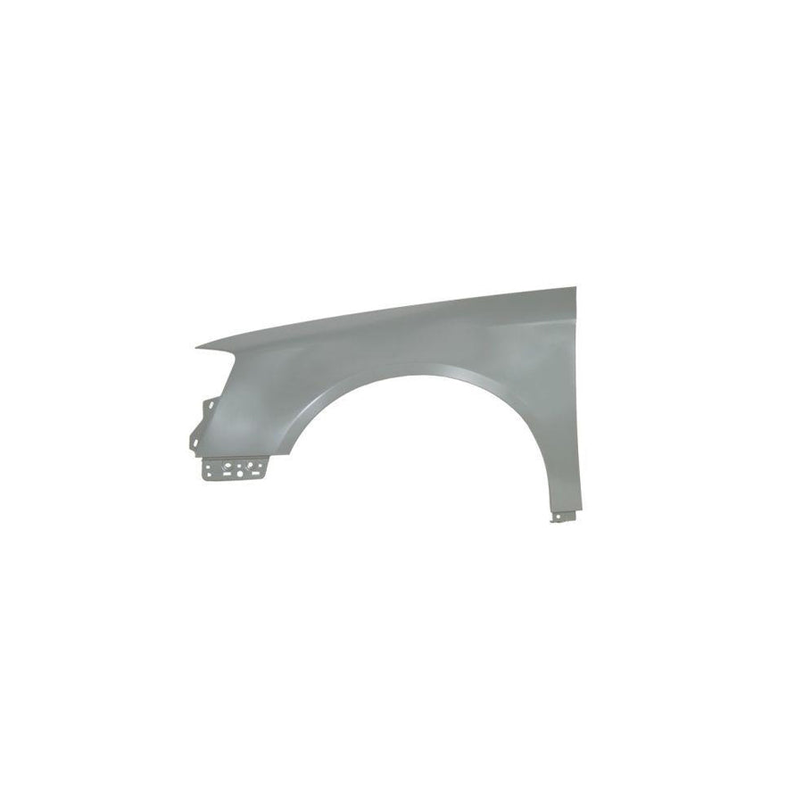 Blic 6504-04-9540311Q Wing Fender for VW Passat