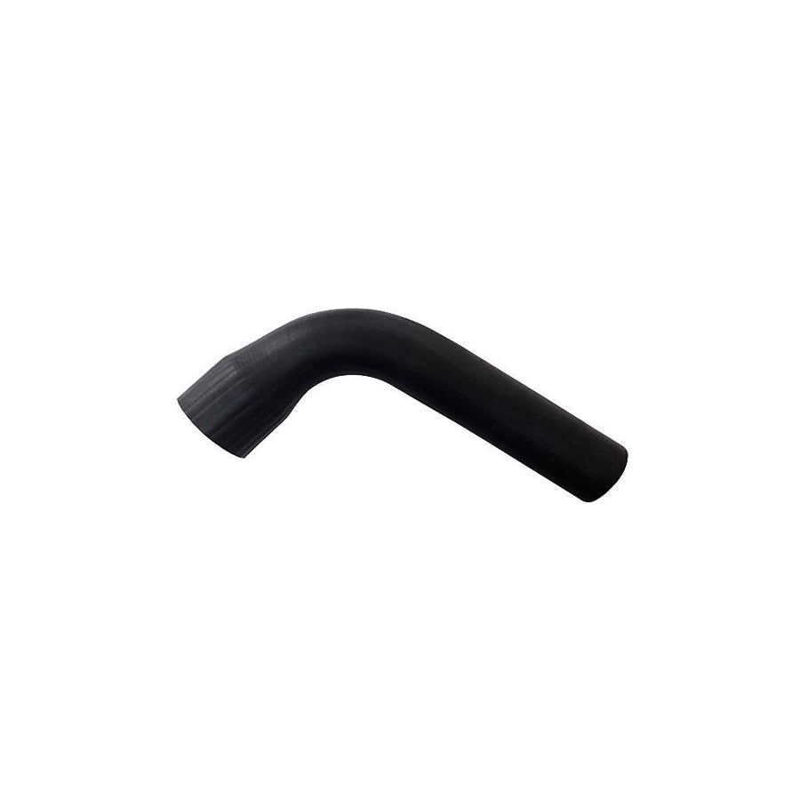 BUGIAD 81689 Charger Intake Hose for Renault Laguna