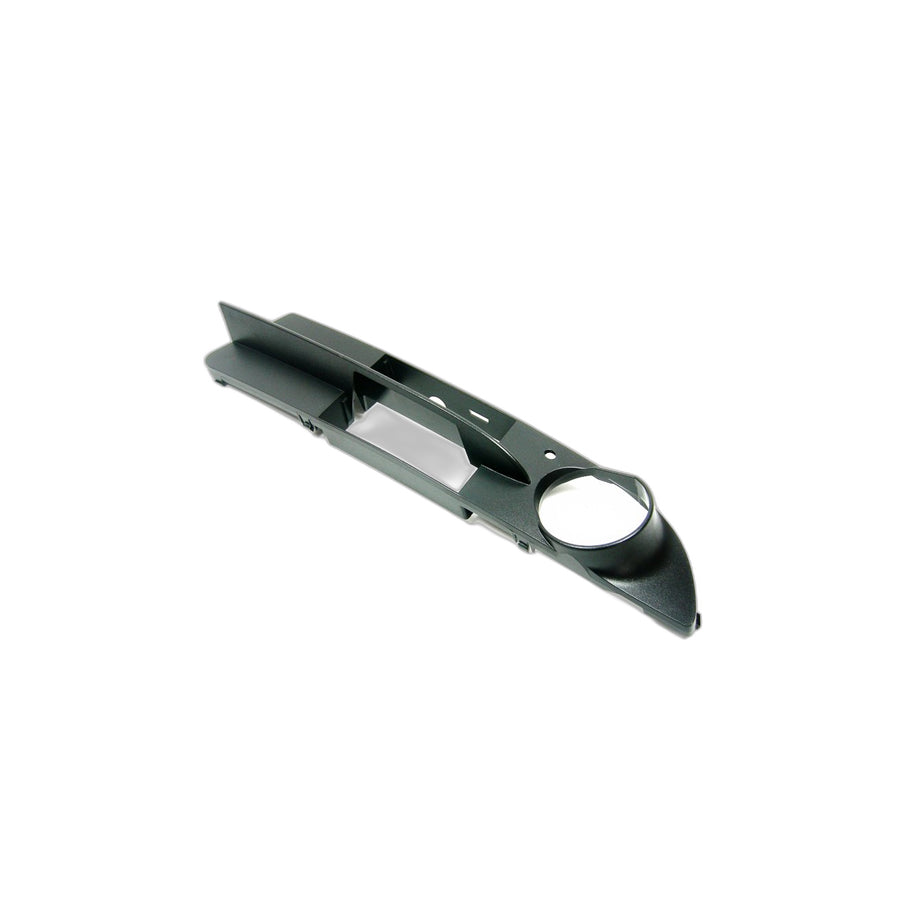 Genuine BMW 51117049243 E60 E61 Grid Lateral Left (Inc. 530d, 520i & 530i)