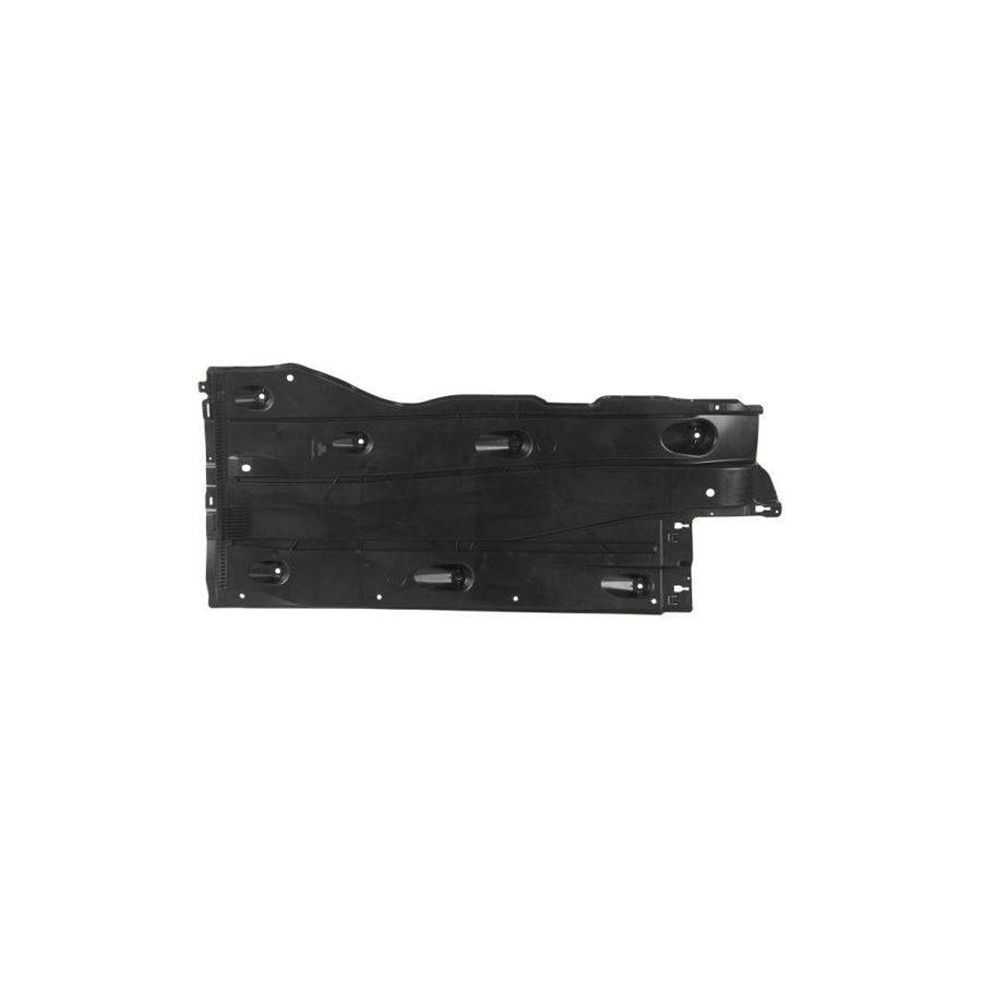 Blic 6601-02-0037981P Engine Cover for Audi A3