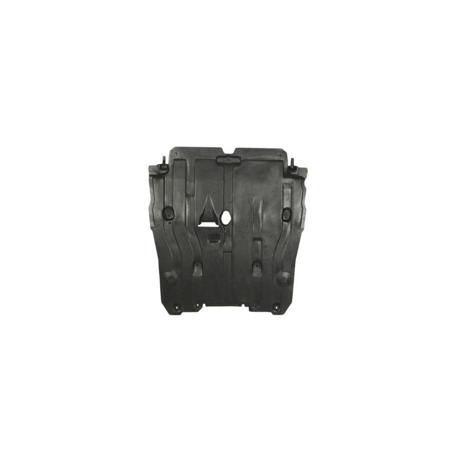Blic 6601-01-8109832P Repair Panel for TOYOTA Yaris I Hatchback (P1)