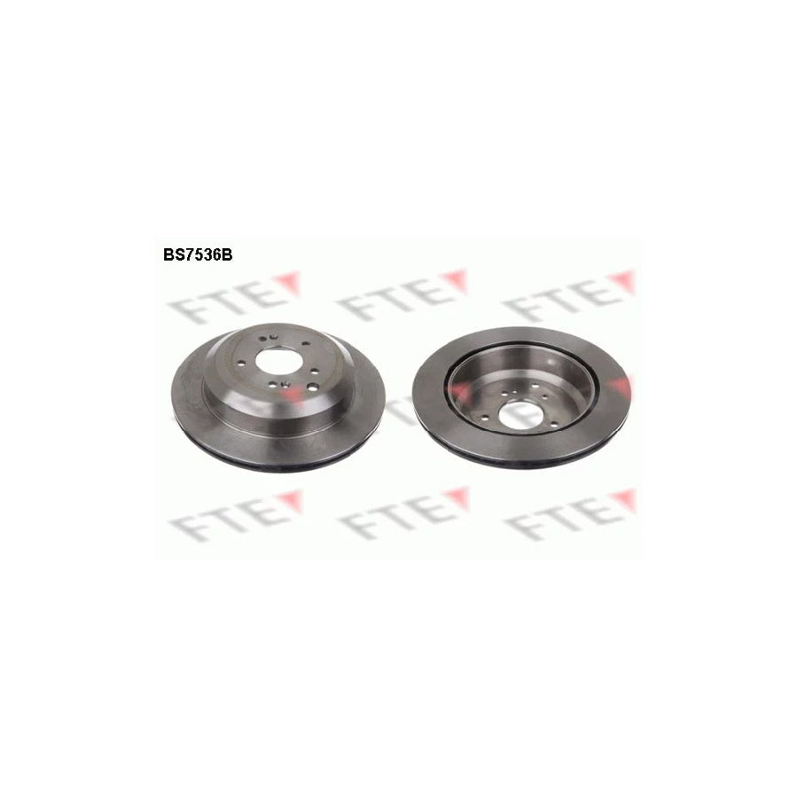 FTE Bs7536B Brake Disc for Hyundai Ix55 (En)