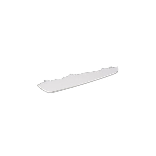 Genuine BMW 51117024778 E46 Grid Lower Part Right TITAN (Inc. 330Ci)