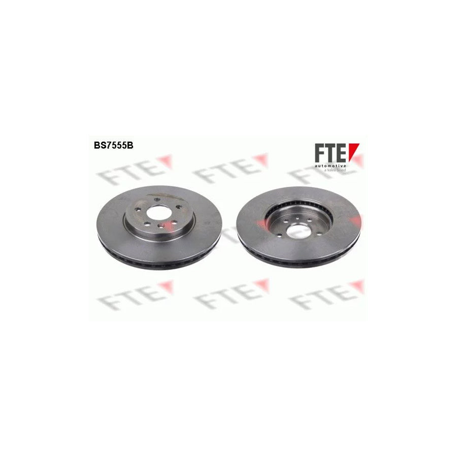 FTE Bs7555B Brake Disc