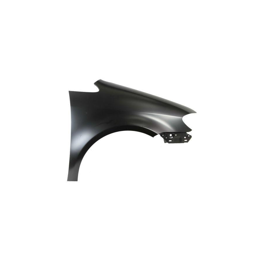 Blic 6504-04-9545316P Wing Fender for VW Touran I (1T1, 1T2)