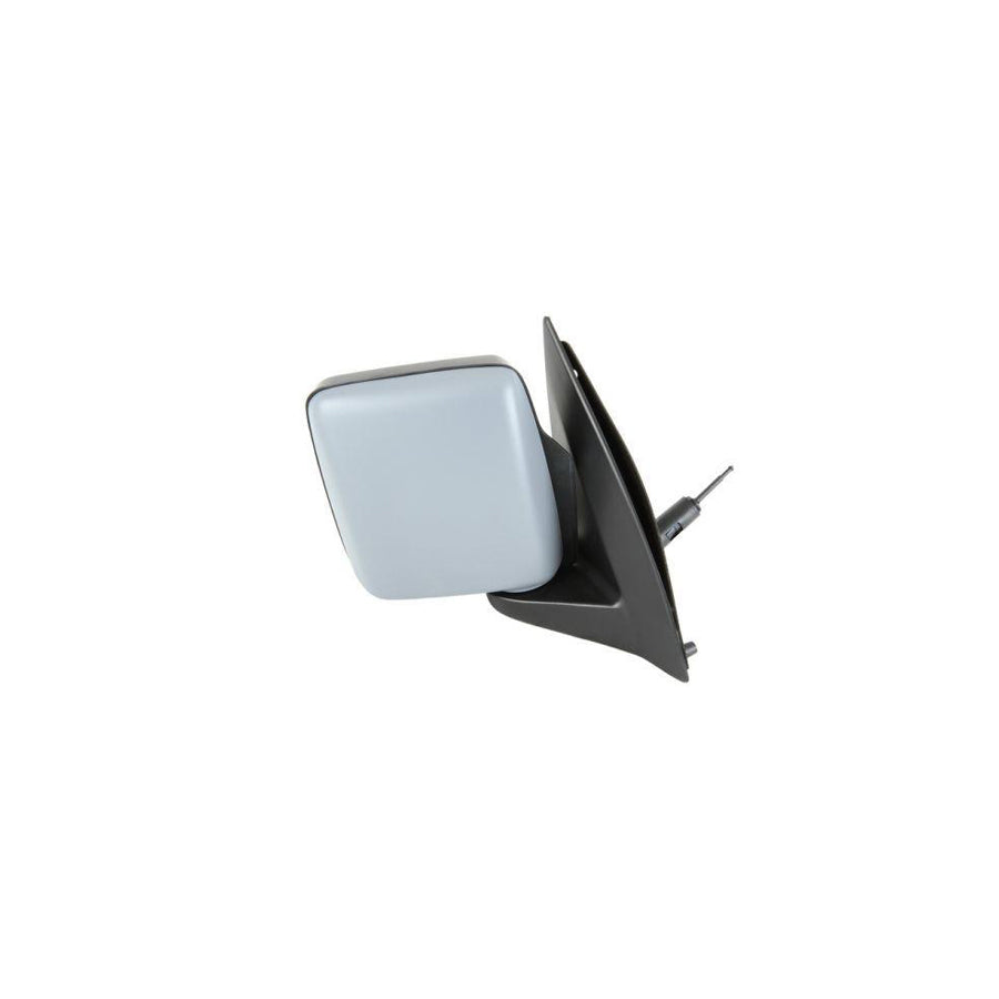 Blic 5402-04-9238221P Wing Mirror