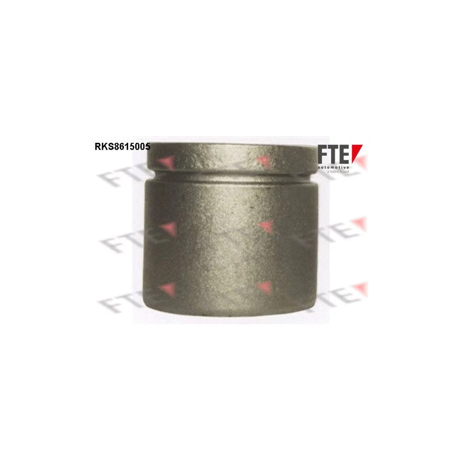 FTE 9313002 Piston, Brake Caliper