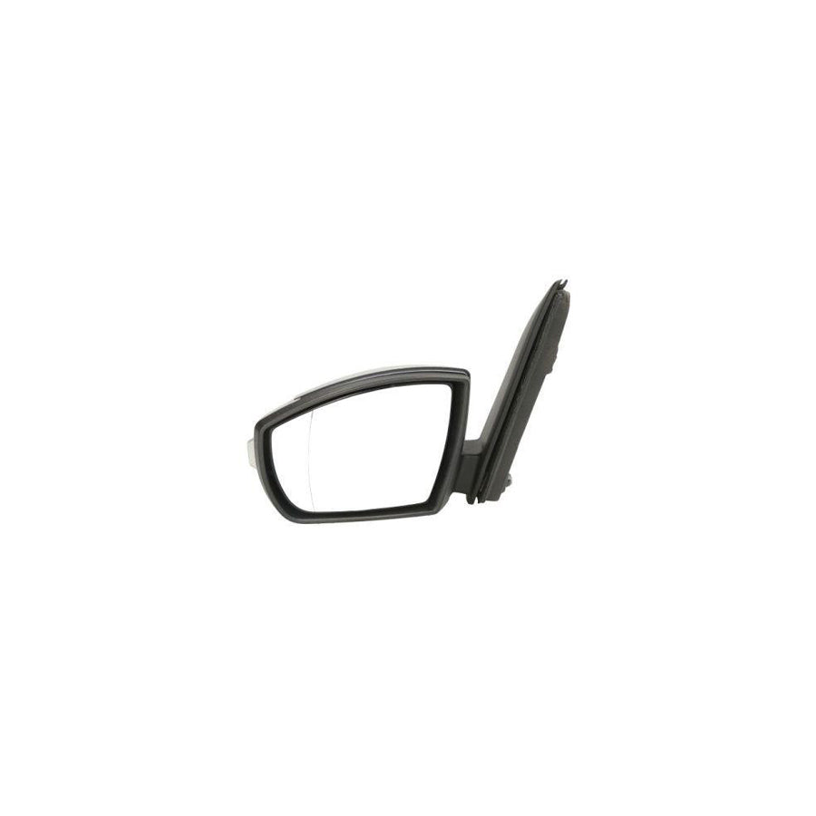 Blic 5402-03-2001191P Wing Mirror for Ford С-Max