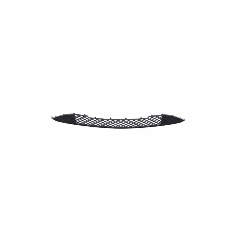Blic 6502-07-3507910Q Bumper Grill Suitable for Mercedes-Benz A-Class (W176)