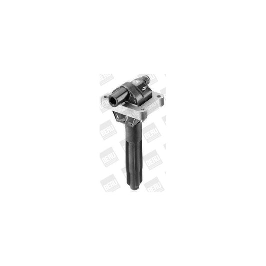 Beru Zs295 Ignition Coil