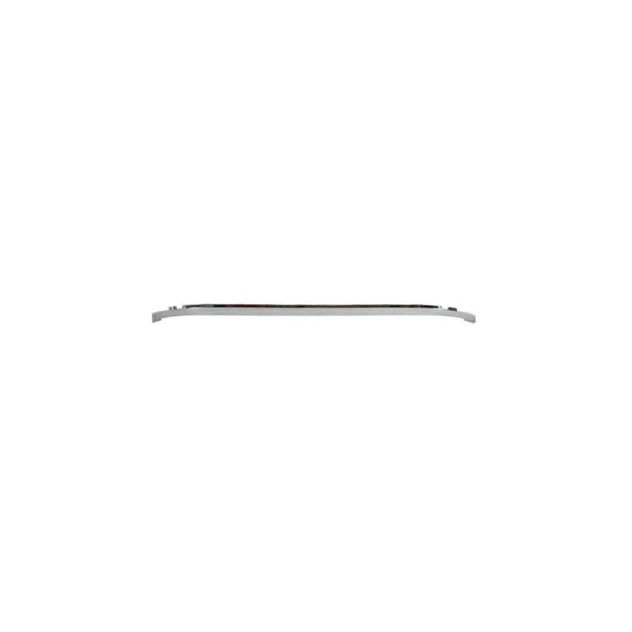 Blic 5513-00-5537920P Bumper Moulding for Peugeot 407