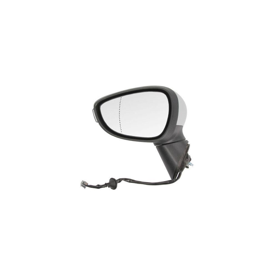 Blic 5402-03-2001181P Wing Mirror for Ford B-Max (Jk8)
