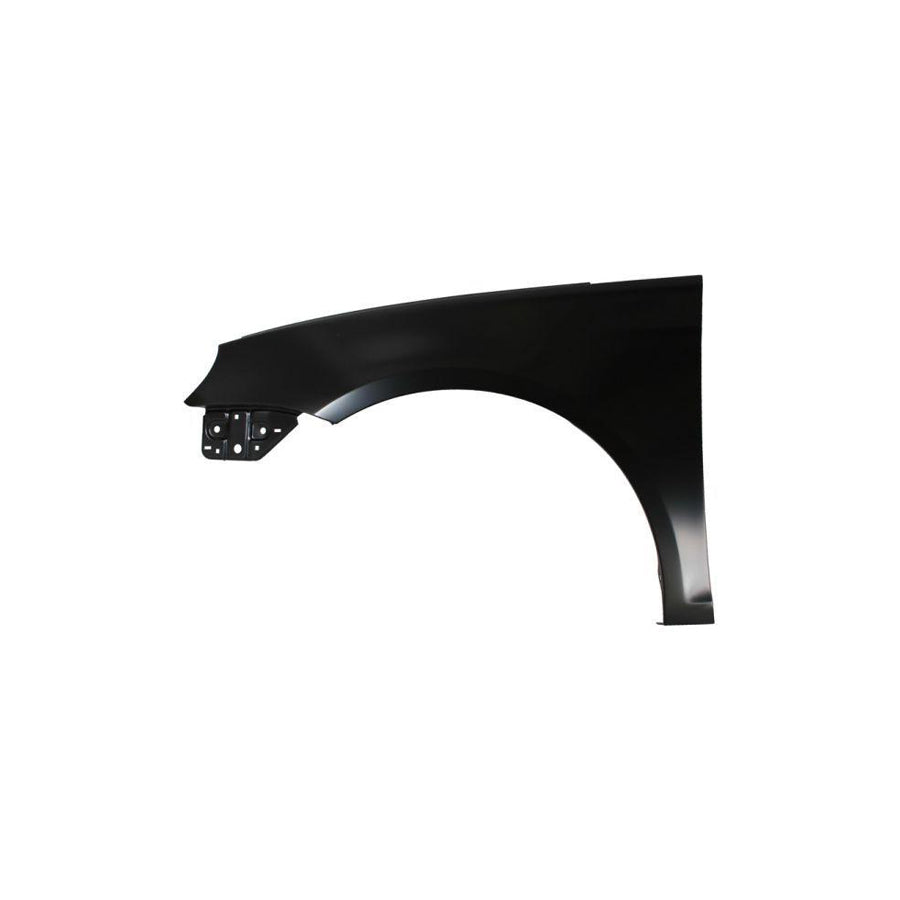 Blic 6504-04-9554311P Wing Fender for VW Eos (1F7, 1F8)