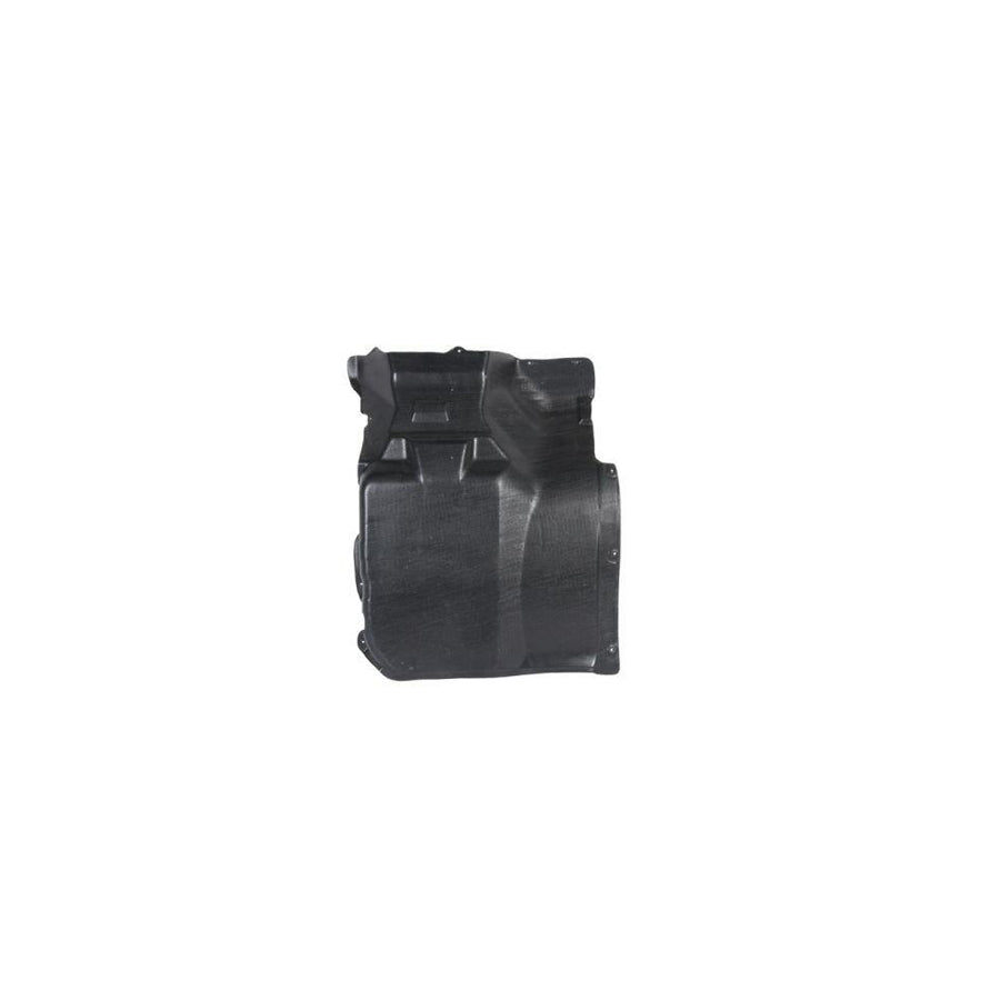 Blic 6601-02-0057871P Engine Cover for BMW 5 Series