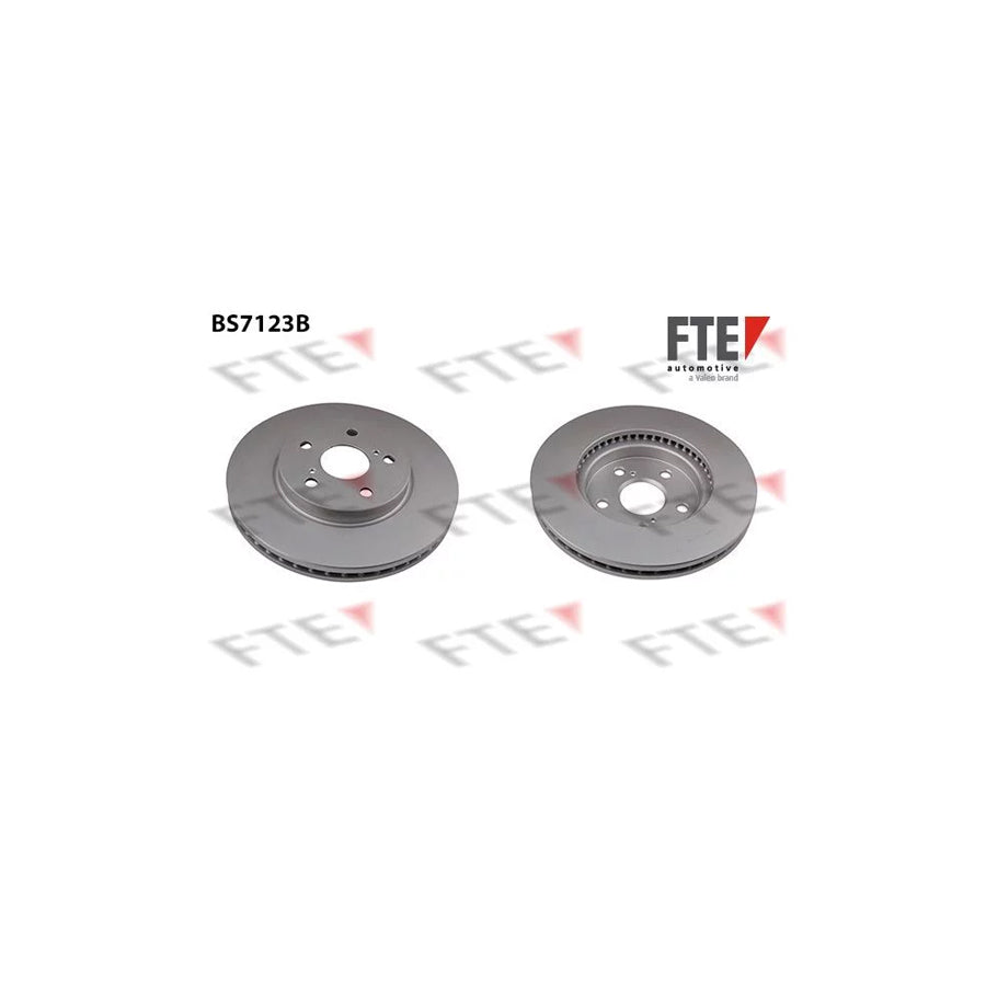 FTE 9081183 Brake Disc