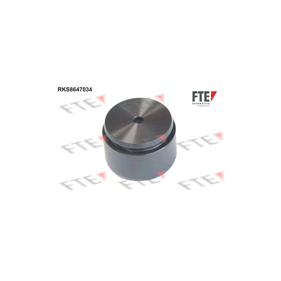 FTE 9310005 Piston, Brake Caliper