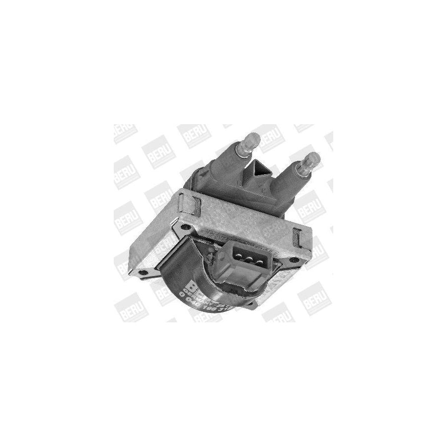 Beru Zs319 Ignition Coil