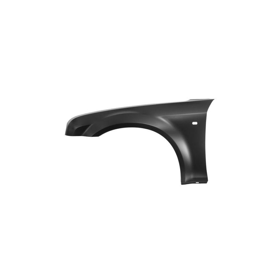 Blic 6504-04-0938313P Wing Fender for Chrysler 300