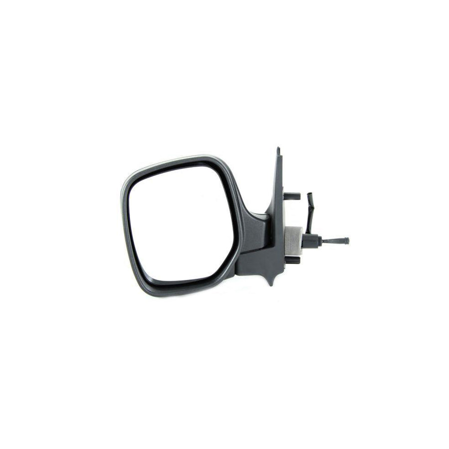 Blic 5402-04-9253972 Wing Mirror
