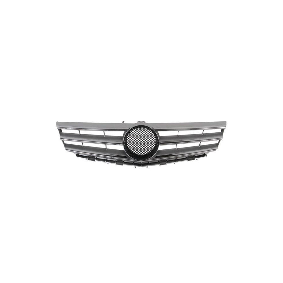 Blic 6502-07-3506991P Radiator Grille Suitable for Mercedes-Benz A-Class (W169)