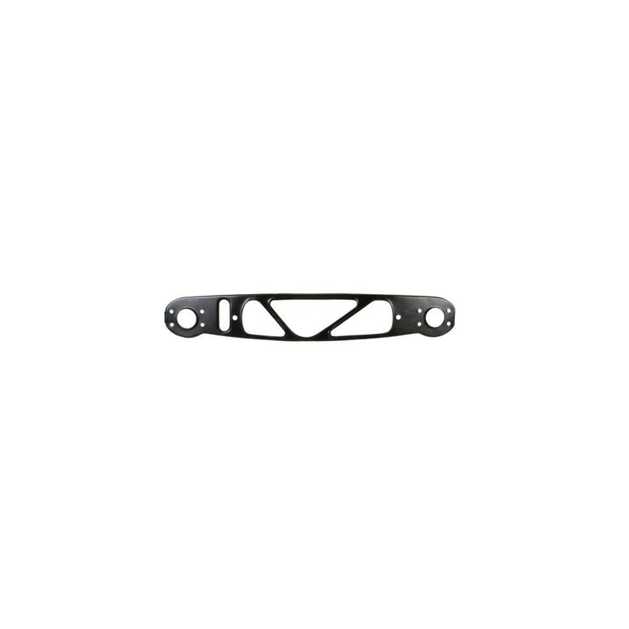 Blic 6502-03-0060230P Front Cowling for BMW 3 Series
