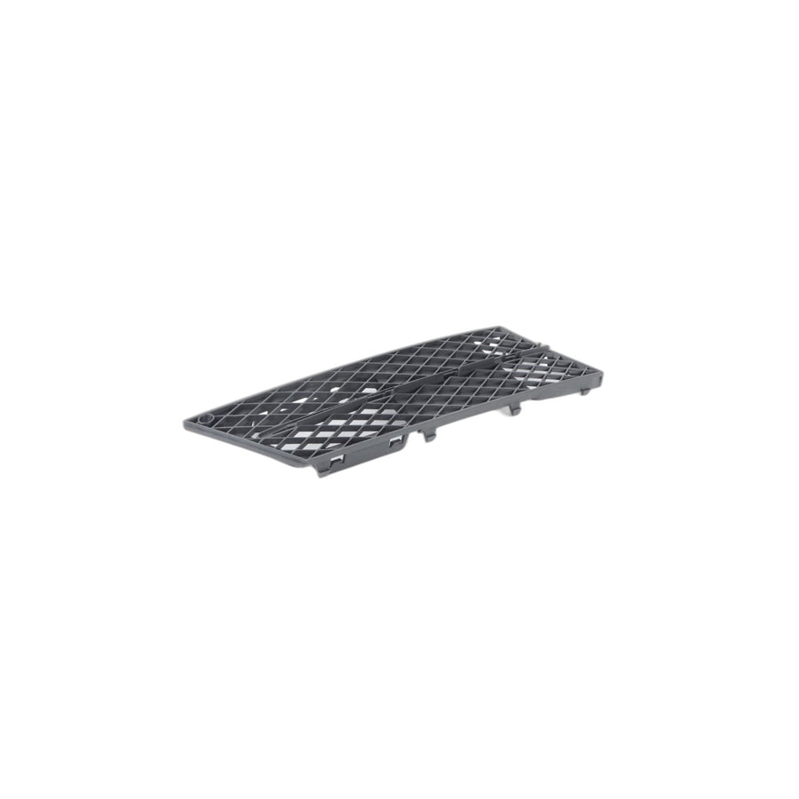Genuine BMW 51117178098 E60 E61 Grid Lateral Right (Inc. 550i, 528xi & 535xi)