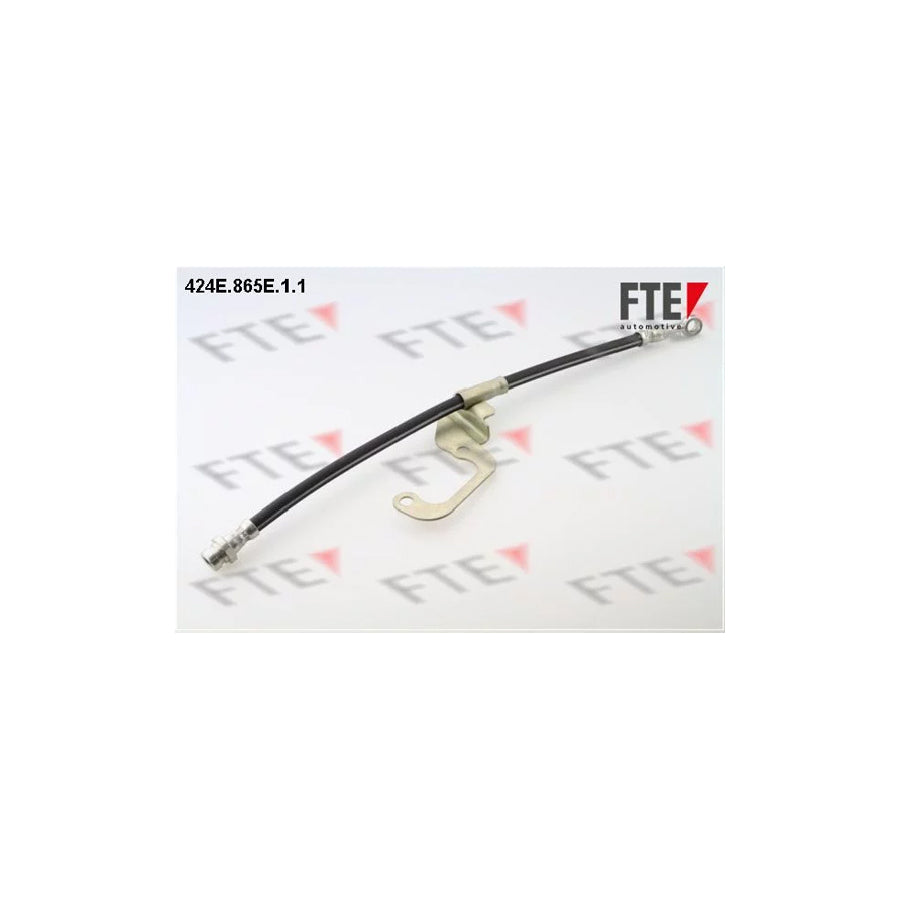 FTE 424E.865E.1.1 Brake Hose for Hyundai Terracan (Hp)