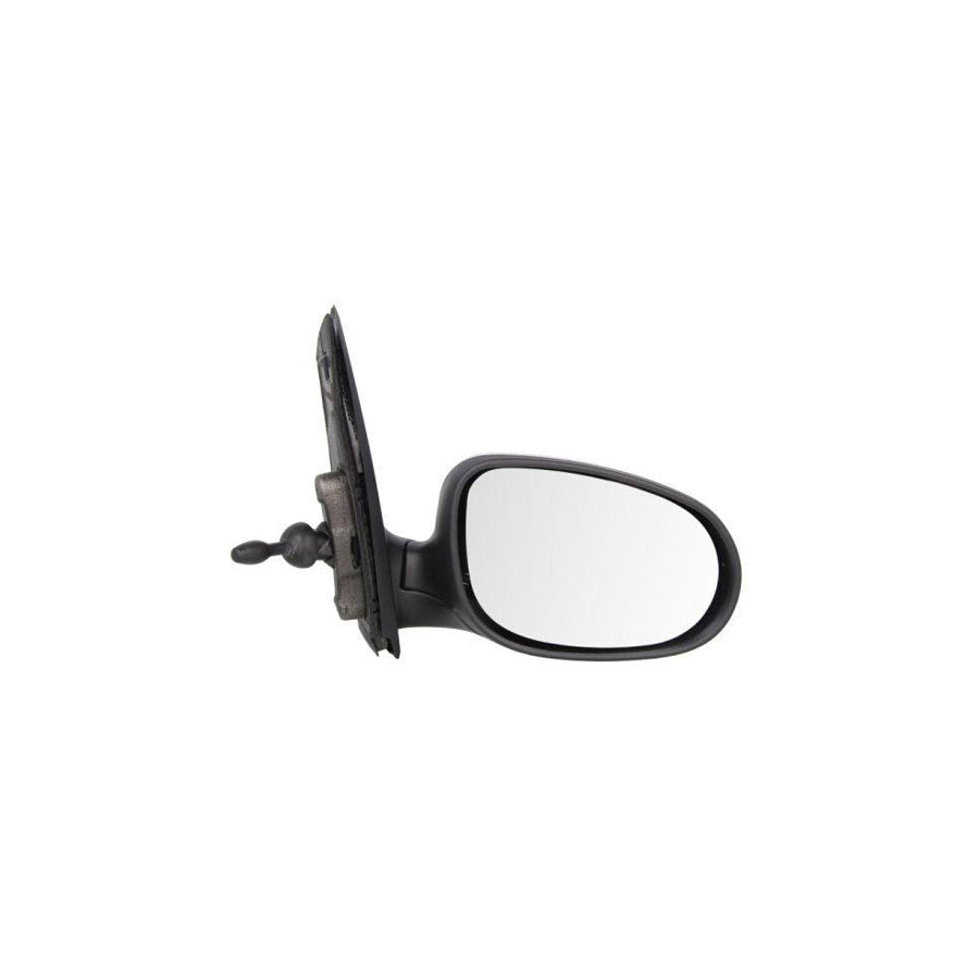Blic 5402-03-2001206P Wing Mirror for Ford Ka Hatchback (Ru8)