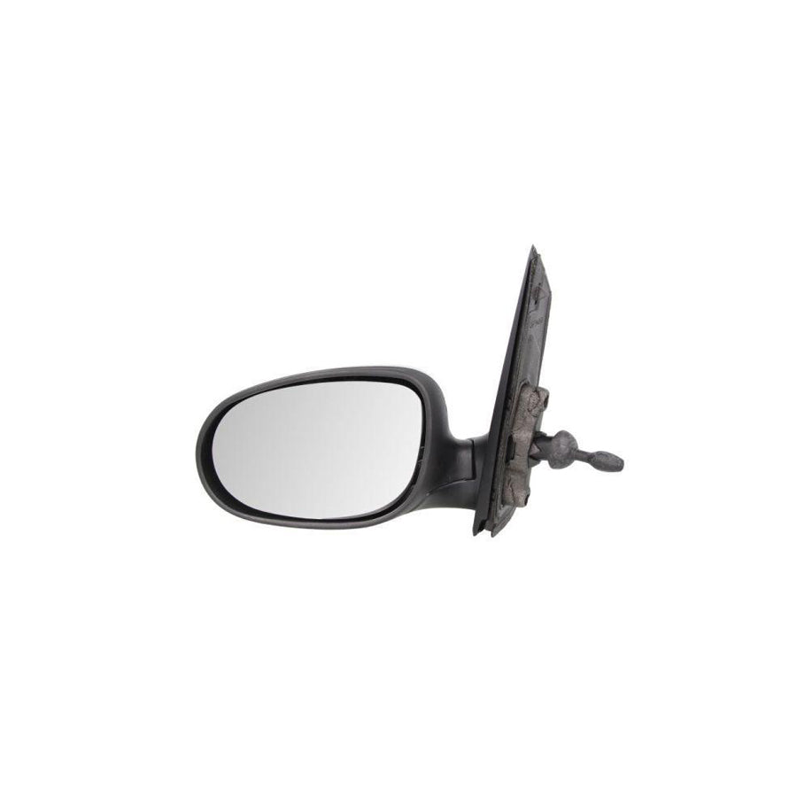 Blic 5402-03-2001205P Wing Mirror for Ford Ka Hatchback (Ru8)