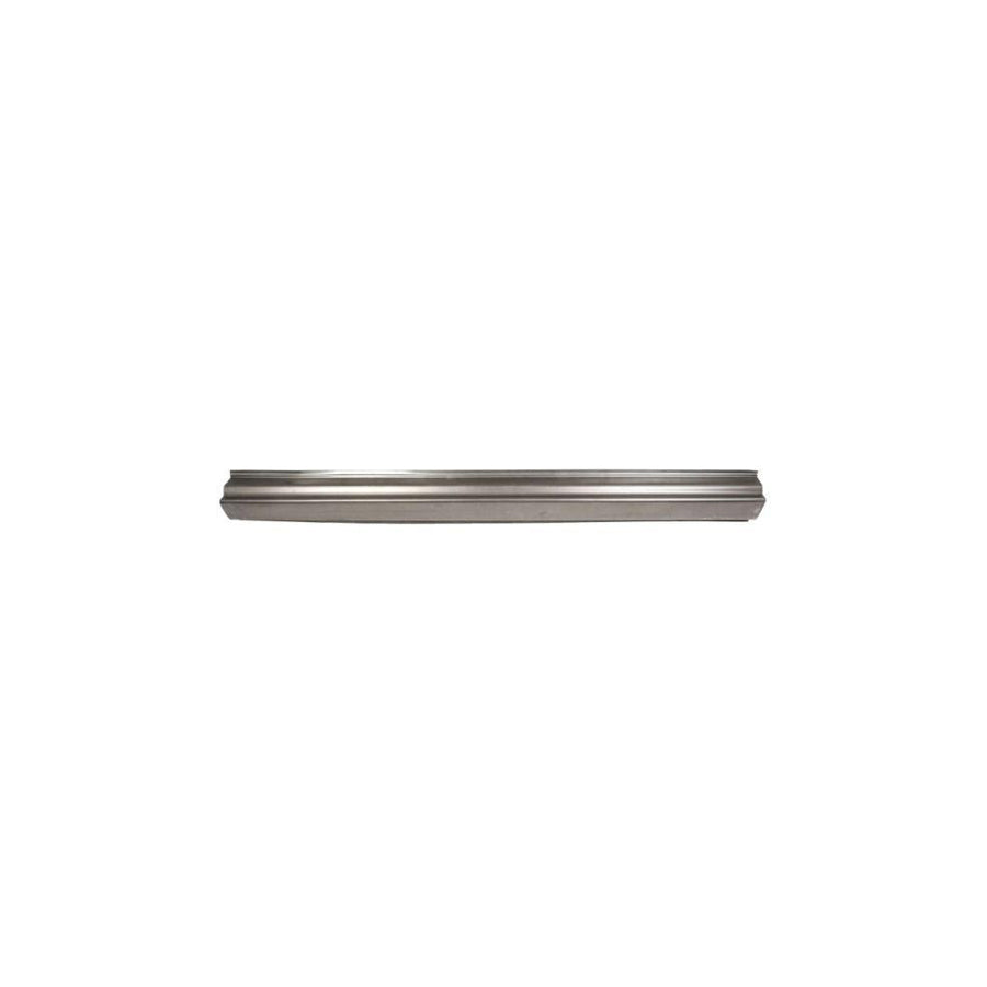 Blic 6505-06-5537011P Rocker Panel for Peugeot 407