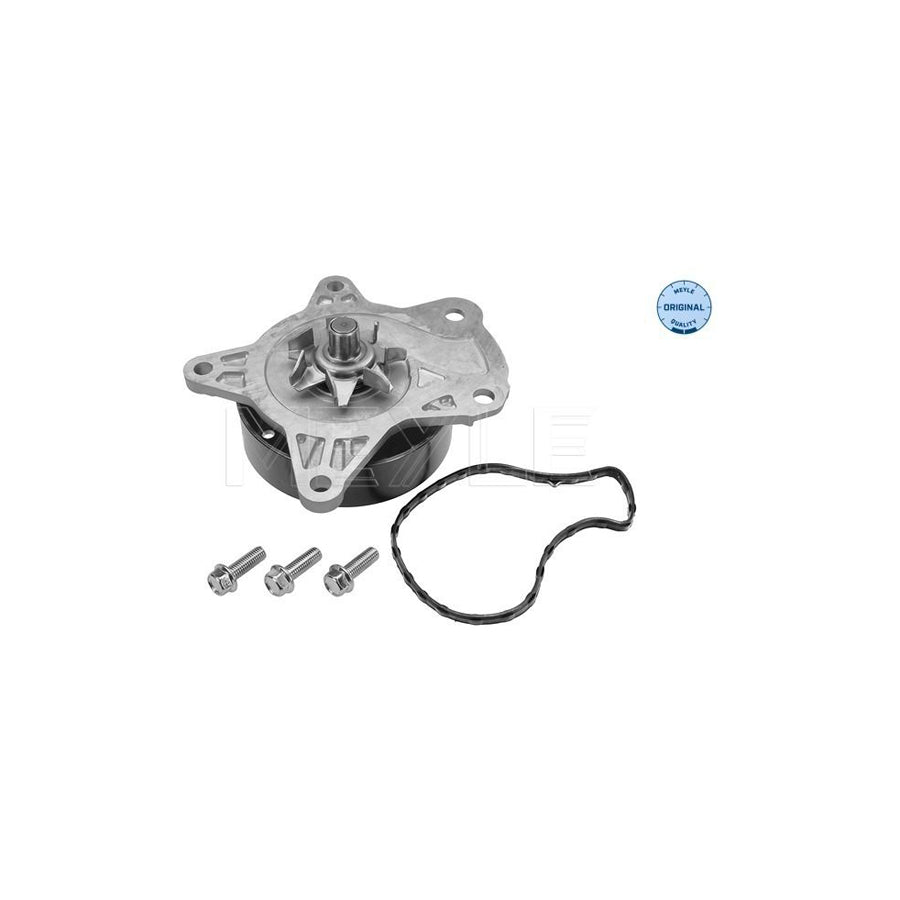 Meyle 30-13 220 0016 Water Pump
