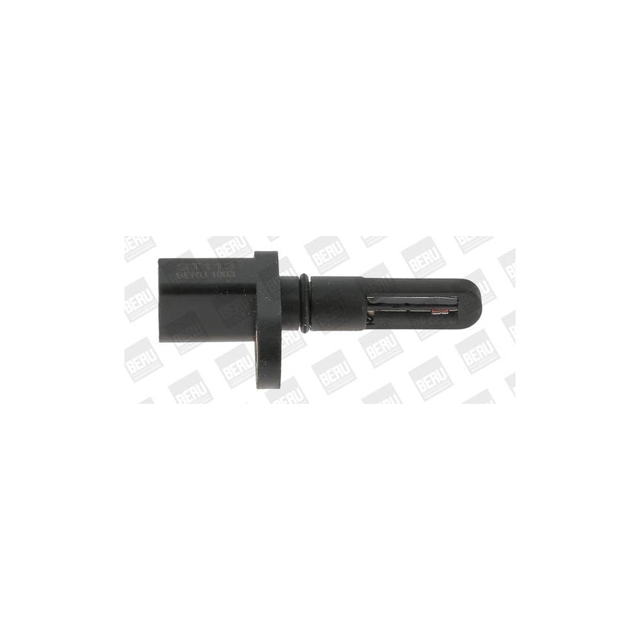 Beru St113 Sender Unit, Intake Air Temperature