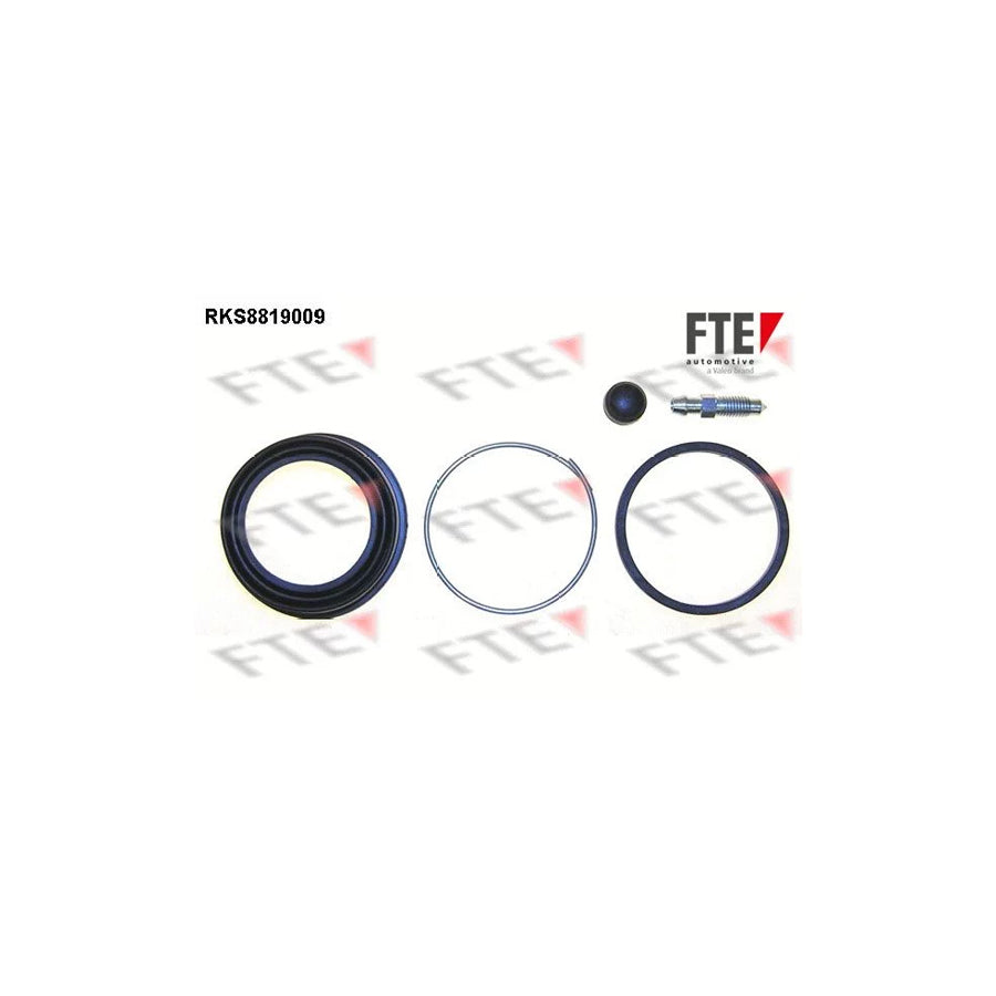 FTE Rks8819009 Repair Kit, Brake Caliper