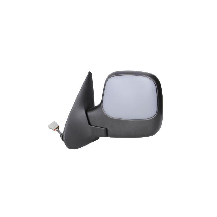 Blic 5402-04-9239972 Wing Mirror
