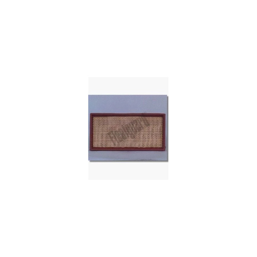 Fleetguard Af4965 Air Filter
