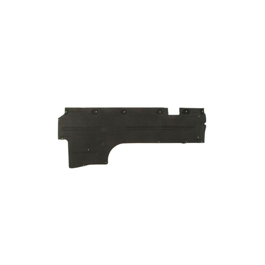 Blic 6601-02-0067982P Engine Cover for BMW 5 Series