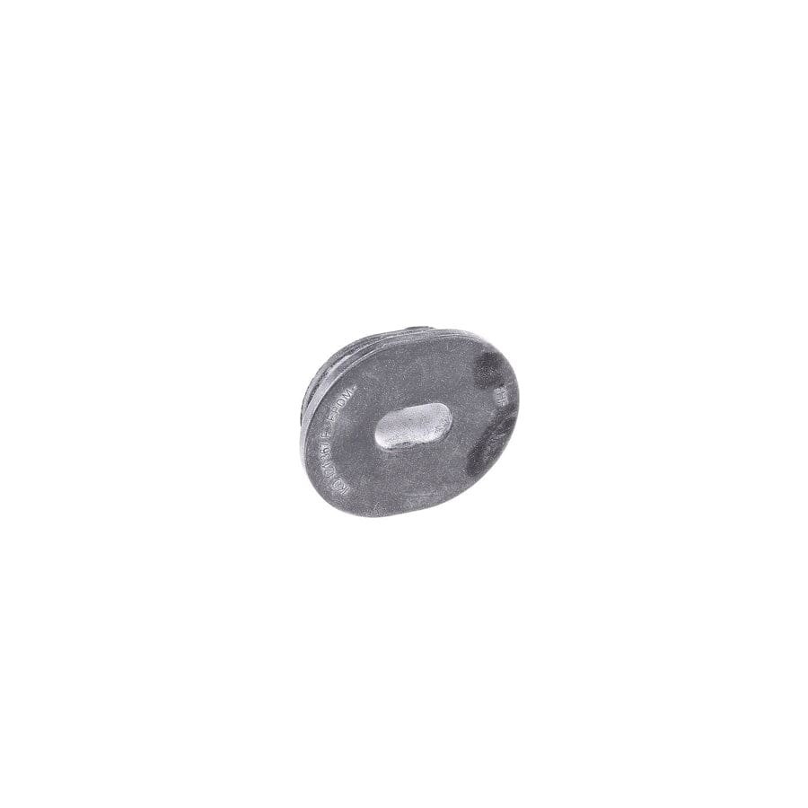 Borsehung B11362 Mounting, Radiator