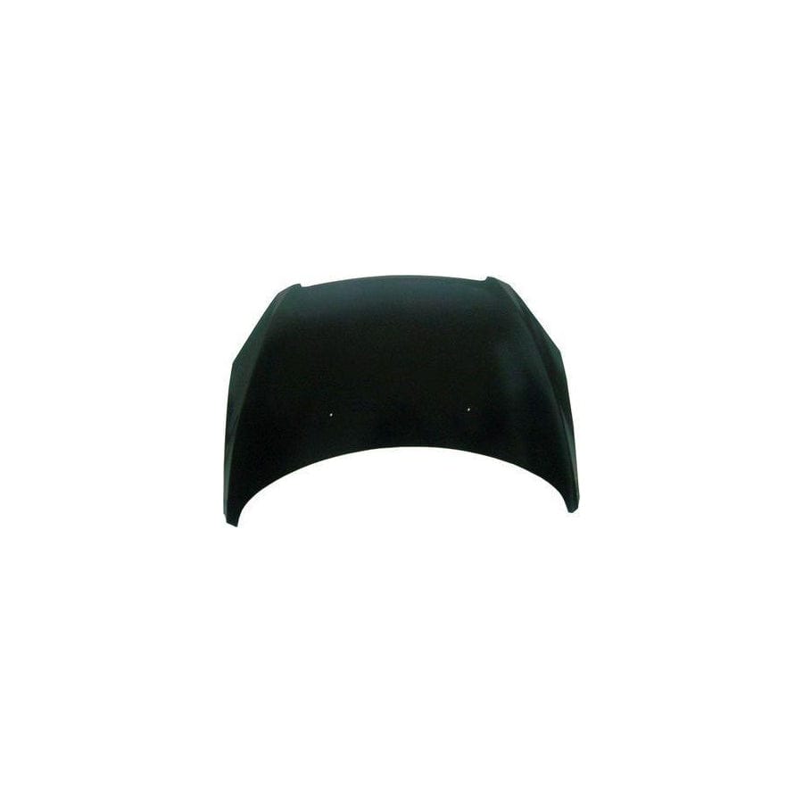 Abakus 03810100 Bonnet for Peugeot 307
