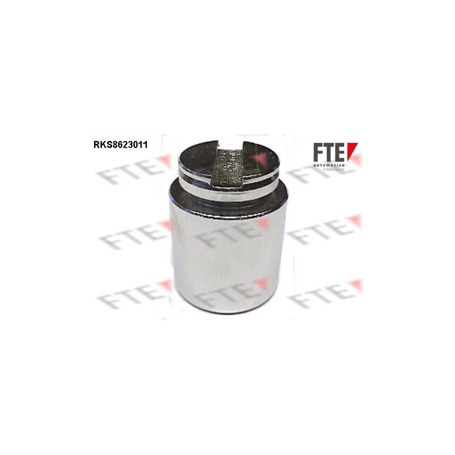 FTE 9313014 Piston, Brake Caliper