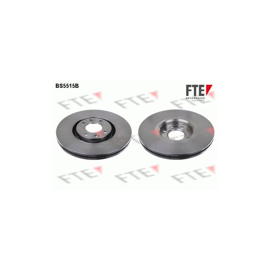 FTE 9081226 Brake Disc