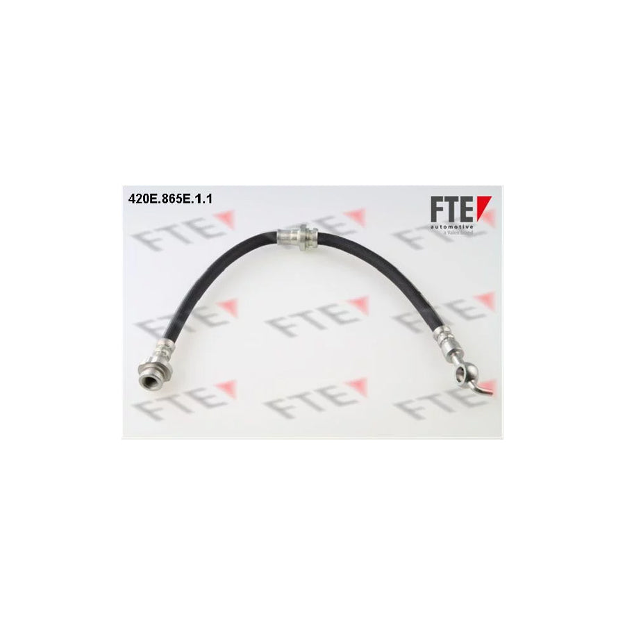 FTE 420E.865E.1.1 Brake Hose