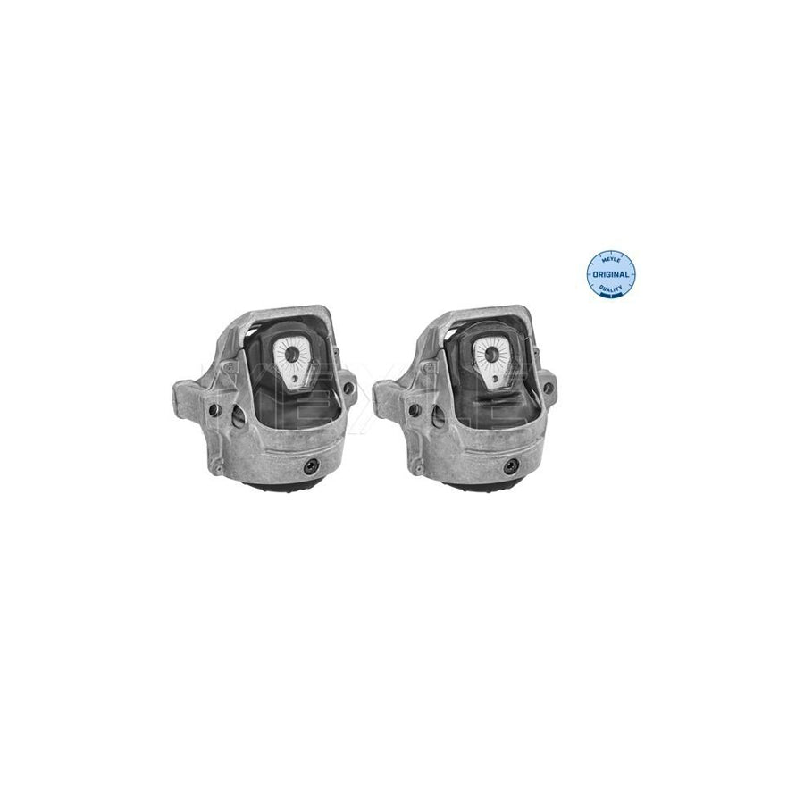 Meyle 100 199 1401/S Engine Mount