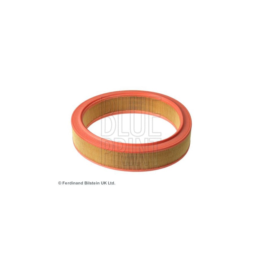 Blue Print ADV182261 Air Filter
