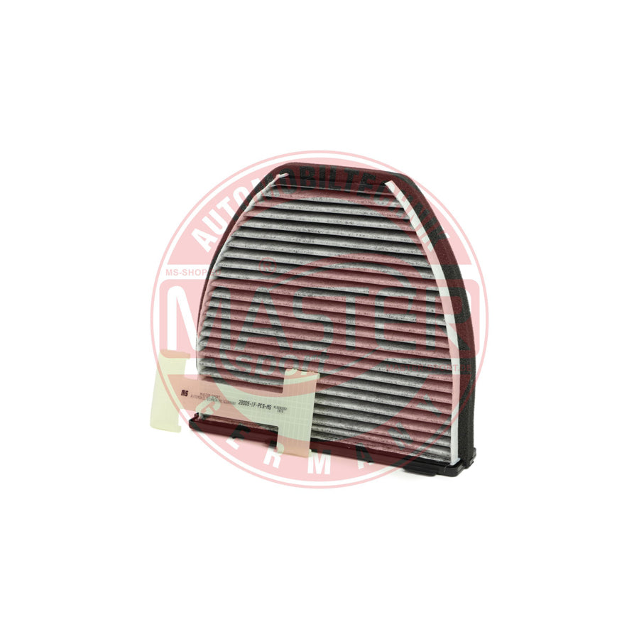 Master Sport 29005/1-IF-PCS-MS Pollen Filter