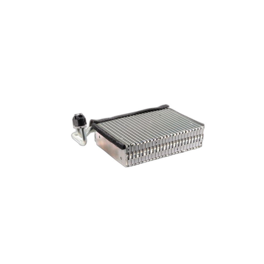 Genuine BMW 64119135744 E83 E46 Evaporator (Inc. 320i, 330xd & 330xi)