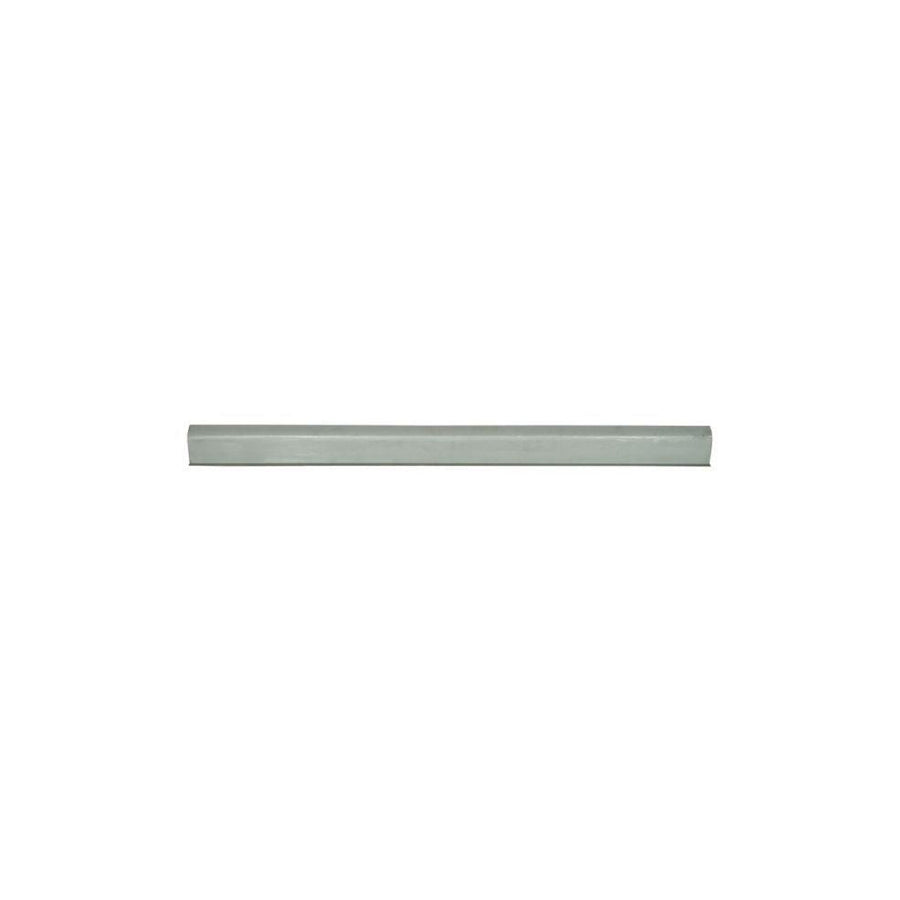Blic 6505-06-6032010P Rocker Panel for Renault Symbol / Thalia II