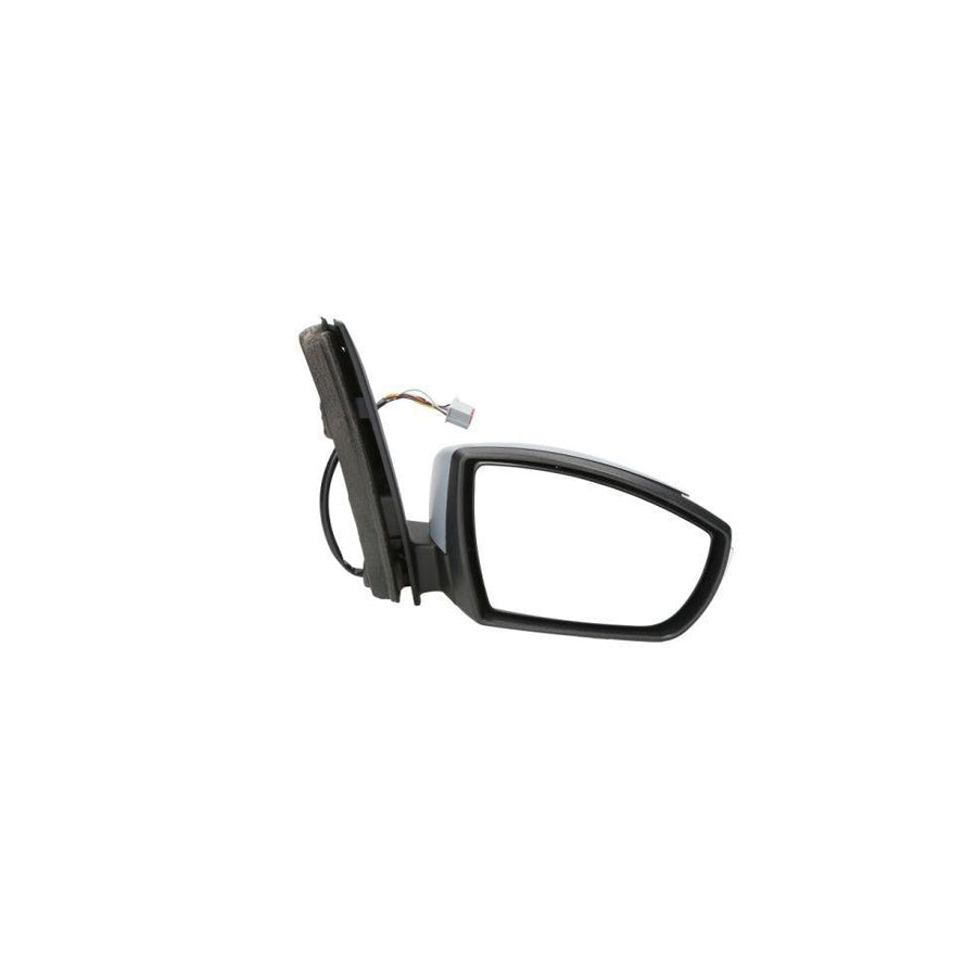 Blic 5402-03-2001192P Wing Mirror for Ford С-Max