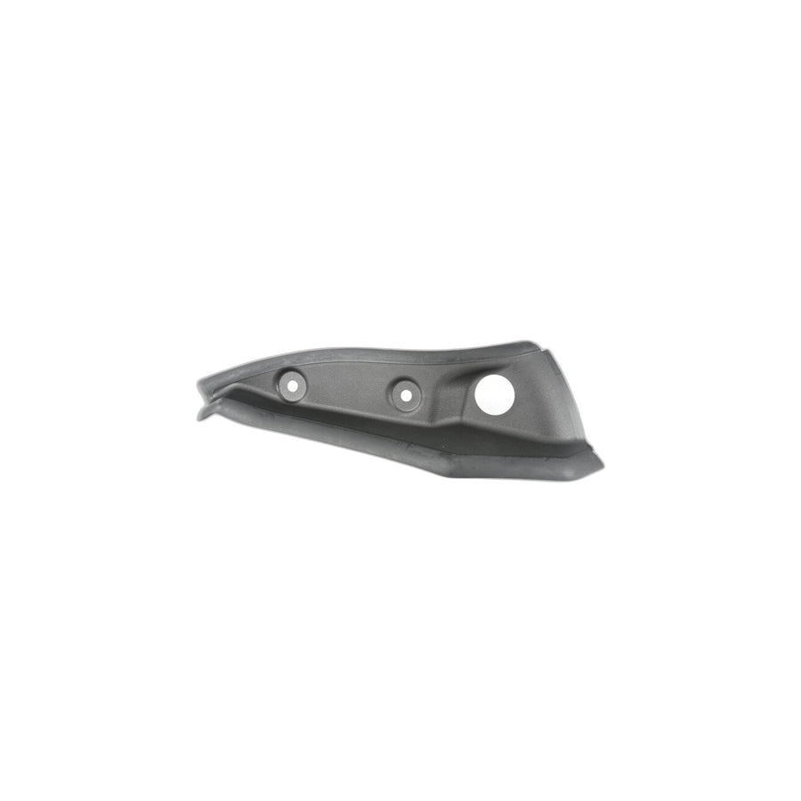 Genuine BMW 51497453343 F34 Trim, Drip Rail, Left (Inc. 320dX, 320d & 320iX)