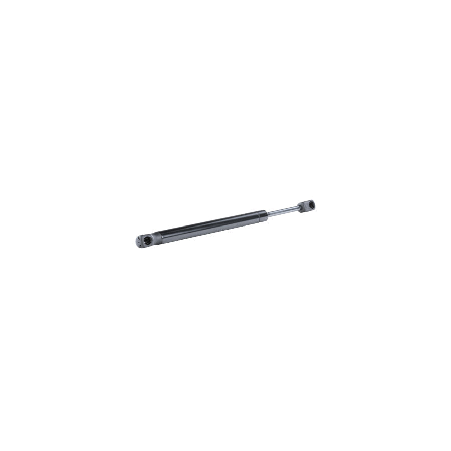 Febi Bilstein 17588 Tailgate Strut